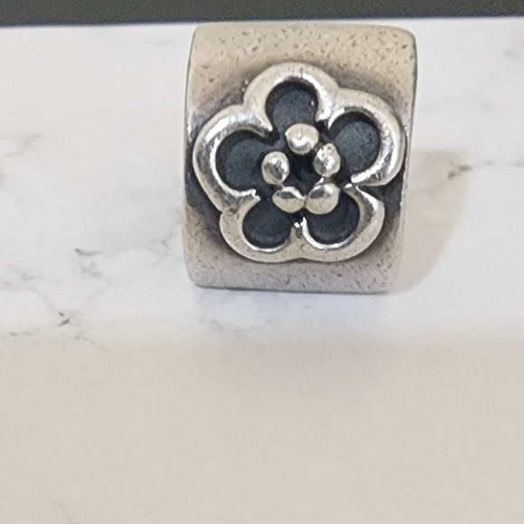 Pandora Jewelry - Pandora Daisy Charm